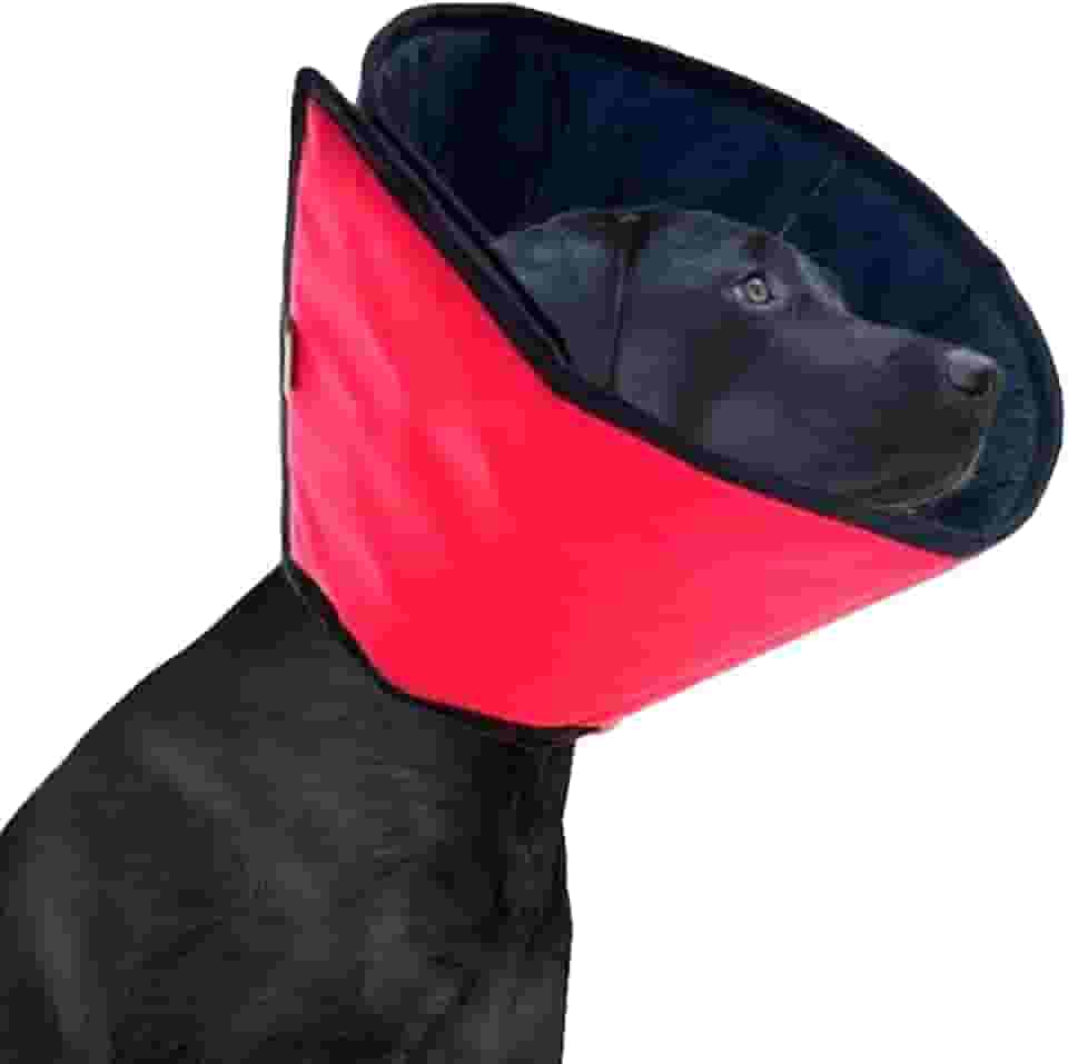Colar Elizabetano Pet para Cachorro – Protetor Cirúrgico, Anti-Lambedura e Confortável (0)