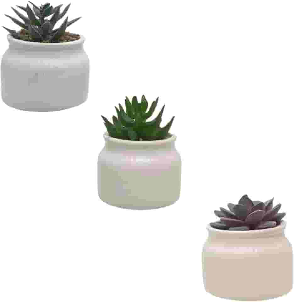 Conjunto de 3 Vasos em Cerâmica com Suculentas Artificiais para Decoração de Ambientes (Branco)