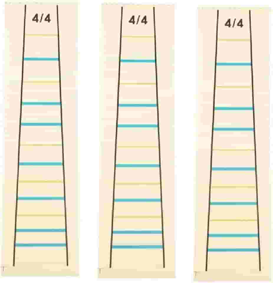 3 peças 4/4 violino prática guia dedo adesivo violino violino braço indicador marcador de posição