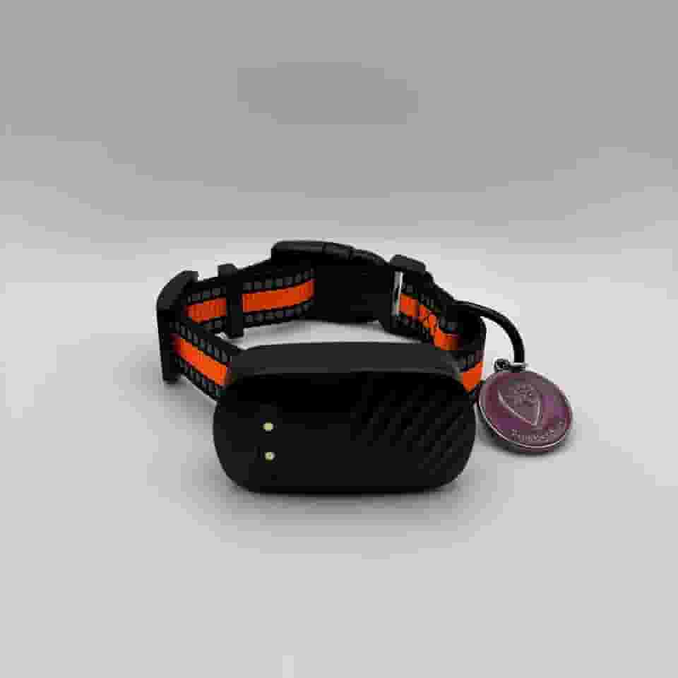 The Pet GPS Coleira Rastreadora GPS para Cães e Gatos, À Prova D'água, Fita Reflexiva, Monitoramento em Tempo Real, Alarme Sonoro e Cerca Virtual (Gato)