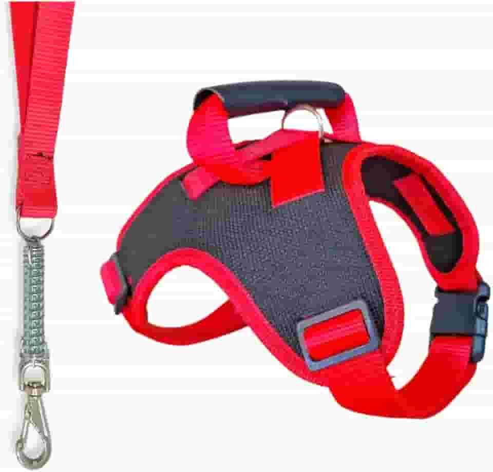 Coleira de passeio para cachorros grandes confortável com regulagens e guia amortecedor de impacto(Vermelho,M)