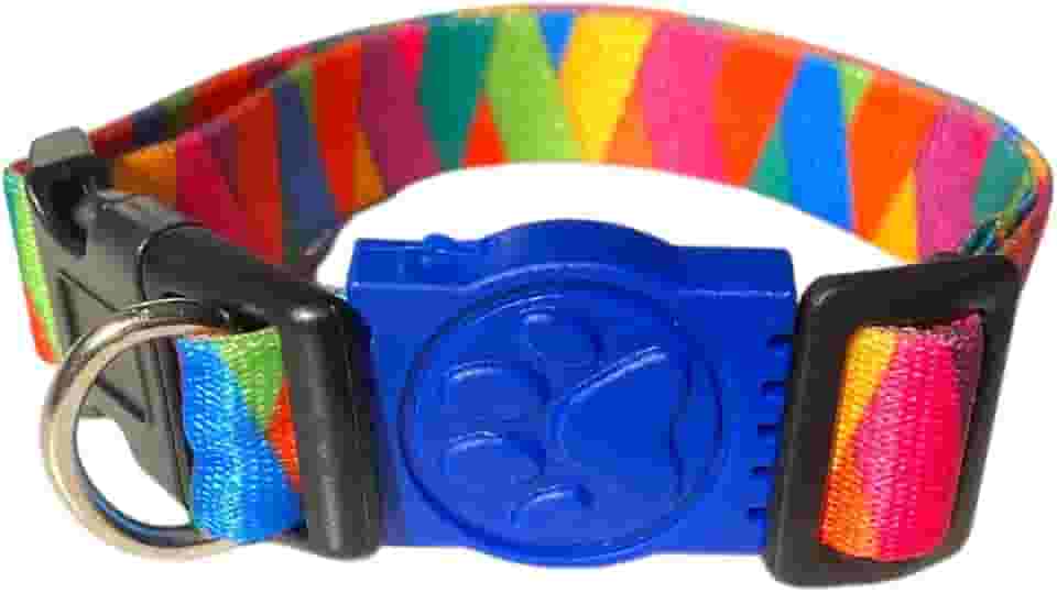 MY PET BRASIL Coleira Para Cachorros Pp Coleira Ajustável Madagascar Passeio E Viagem Confortável E Resistente