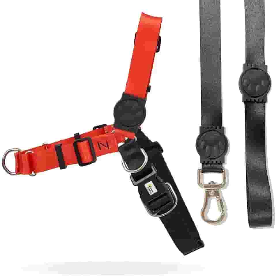 Peitoral Antipuxão para Cachorro com guia (M, Coral)