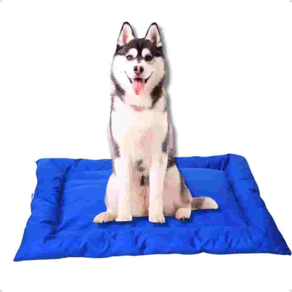 Cama Caminha Colchonete Azul Grande 90x70cm para Cachorro e Gato de Suede Lavável Almofada Pet Macia Confortável