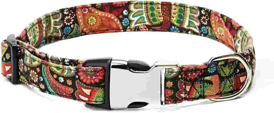 Coleira Estampada para Cachorros Griffis Pet: Estilo e Conforto – Escolha Entre 9 Estampas (Estampa 2, M)