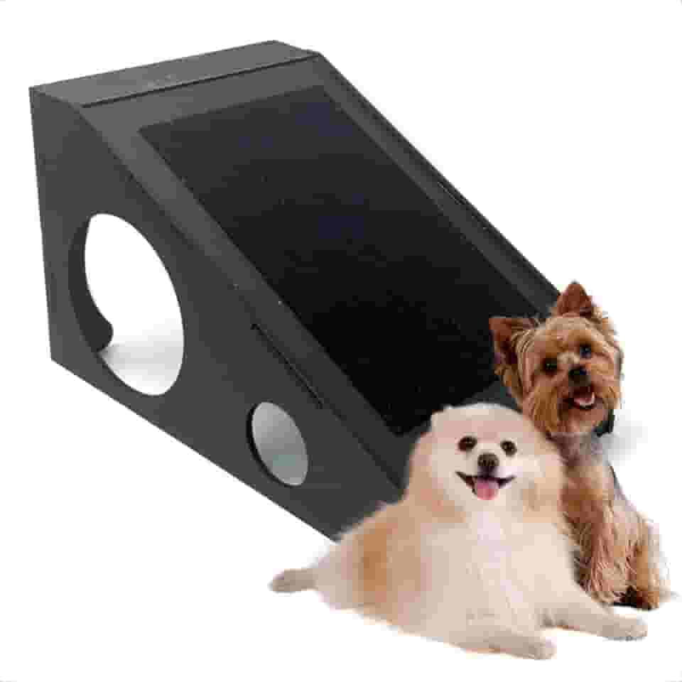 Rampa Arranhador Elevada Para Pet Cães e Gatos Em Mdf Preto Com Carpete Antiderrapante