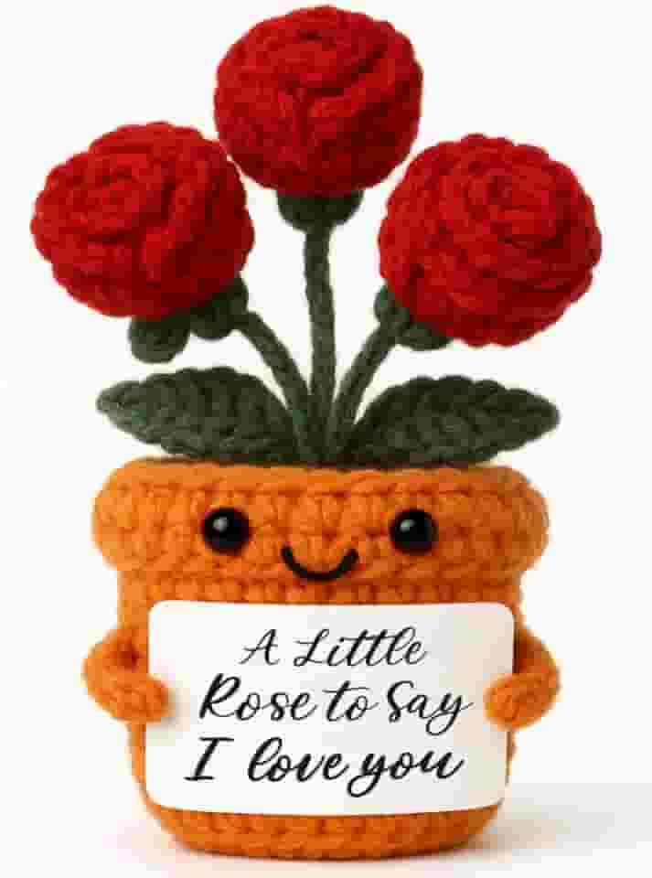 Presente de Natal I Love You para sua esposa, namorada, crochê, rosa, romântico, aniversário, Dia dos Namorados, presente de aniversário para My Love Keepsake