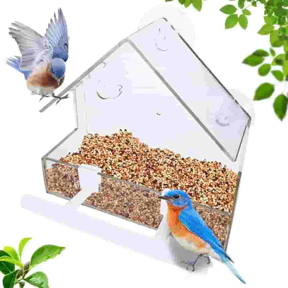 Alimentador de pássaros para janela, casa de pássaros externa com 2 varas, alimentador de pássaros de janela de acrílico com ventosas fortes e orifícios de drenagem