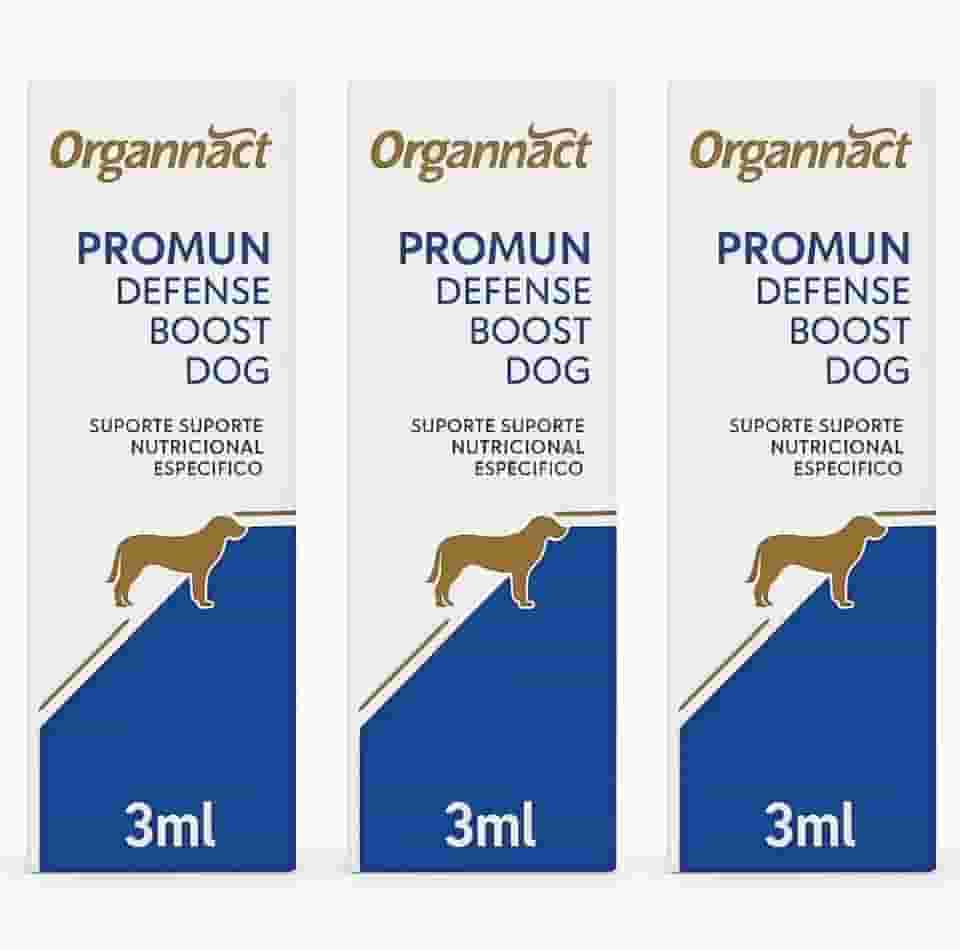 Kit 3 Suplementos Cães Promun Defense Boost Dog 3ml Probiótico Omega 3 Suporte Nutricional Casa Buritis