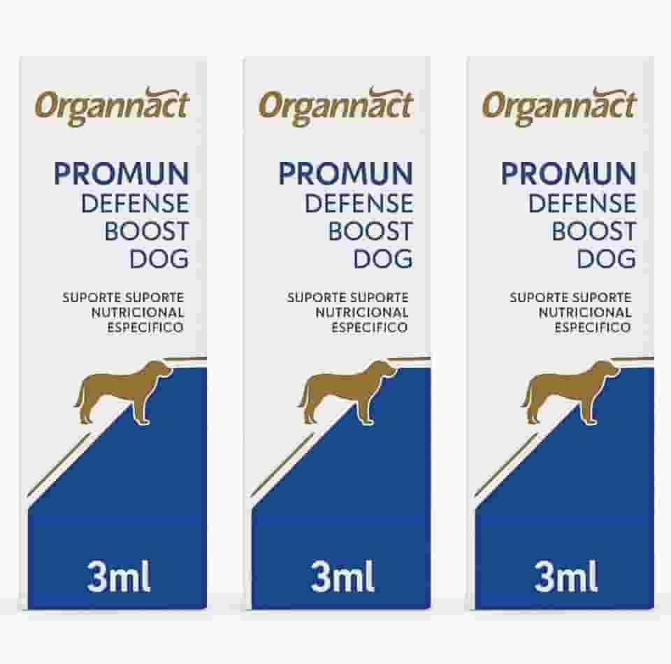 Kit 3 Suplementos Cães Promun Defense Boost Dog 3ml Probiótico Omega 3 Suporte Nutricional Casa Buritis