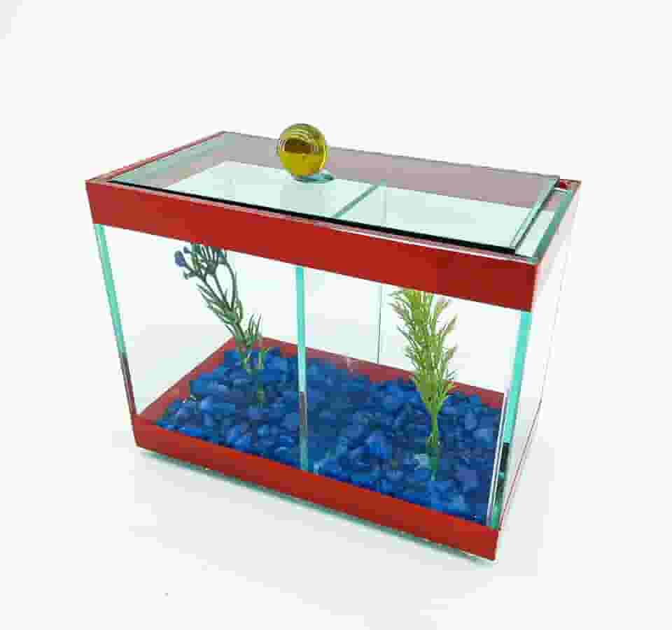Aquário Beteira Dupla Decorado 17x9x13 1,9L 2 Peixes Betas (Vermelho)
