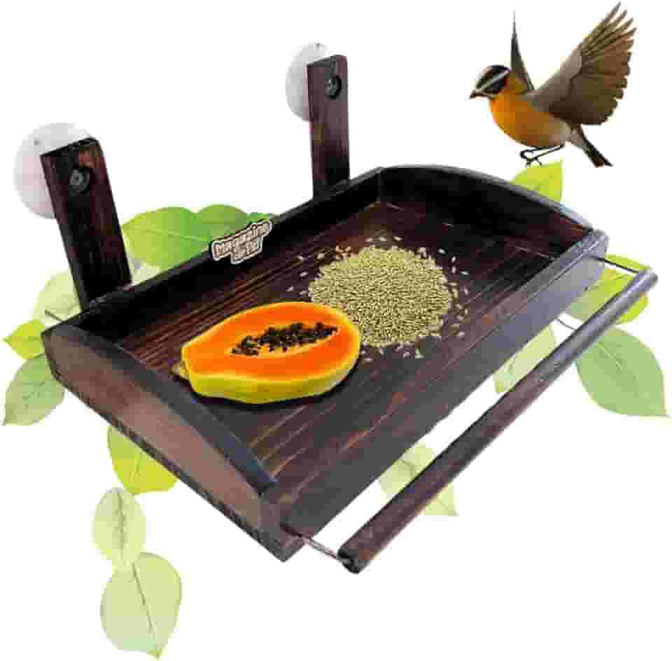 Alimentador Bandeja Para Pássaros Livres Para Colocar Na Janela ou Parede Alimentador de Passarinho