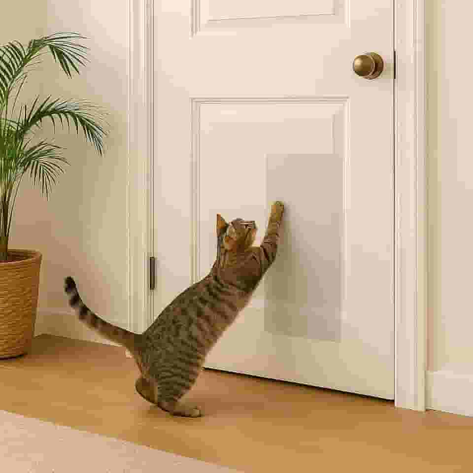 Proteção para Portas Contra Arranhões Mabuu Pet - 3 Folhas