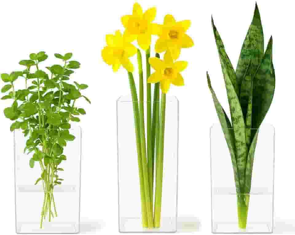 Kit 3 Vasos Decorativos para Flores e Plantas, Acrílico Transparente