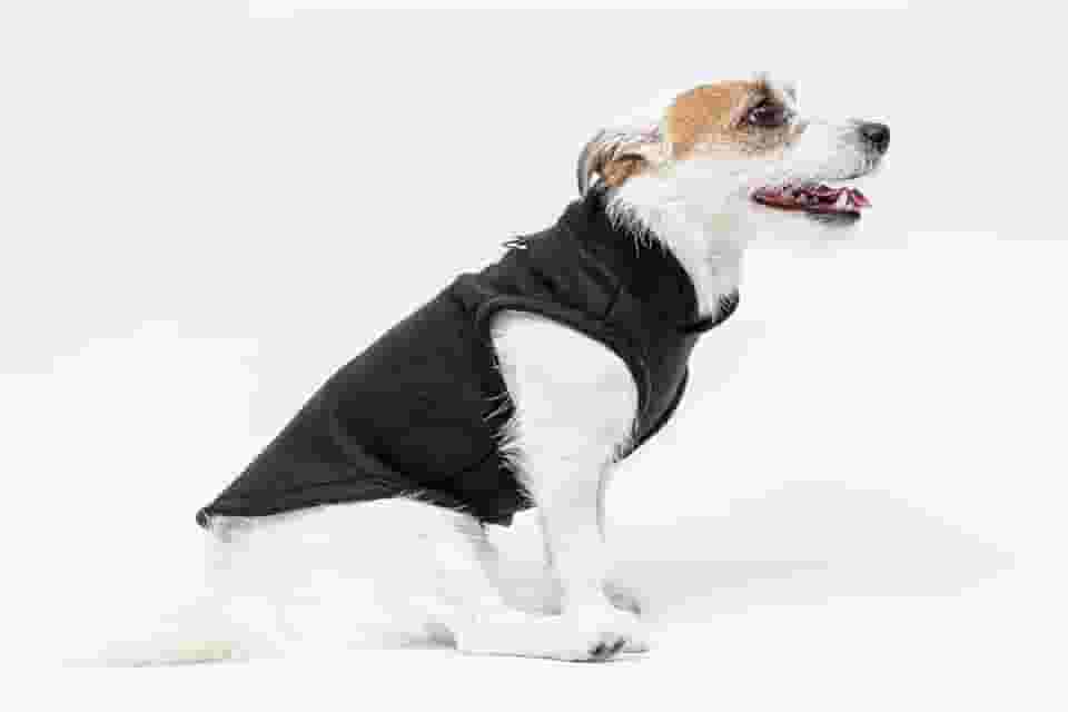 Roupa para Cachorros e Gatos Pet Soft - Roupas para Frio (Preto, 6)