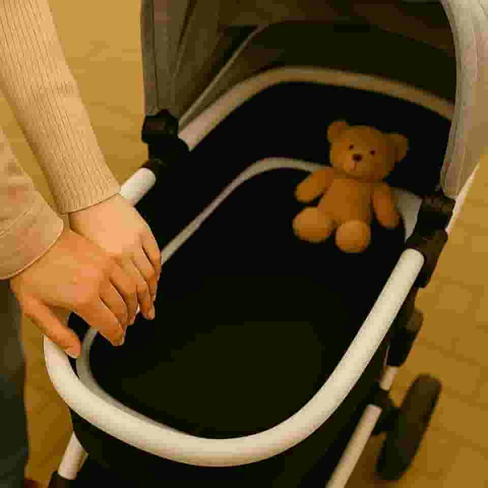 Colchonete Para Carrinho De Bebê Moises Universal Macio (Preto)