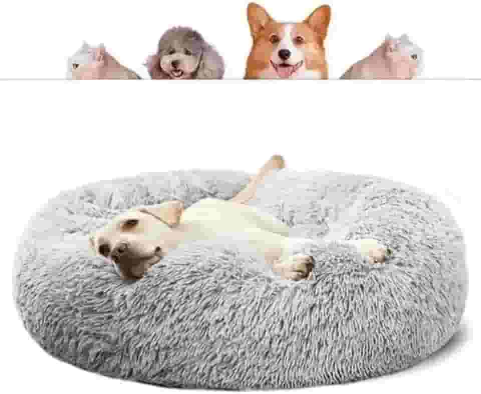 CAMINHA DONUT NUVEM PET PELUCIA G REDONDA CAMA PELUCIADA NINHO CASINHA CASA COLCHONETE Cachorros E Gatos NUVEM FUNDO ANTIDERRAPANTE IMPERMEAVEL QUALIDADE PREMIUM 60CM (CINZA)