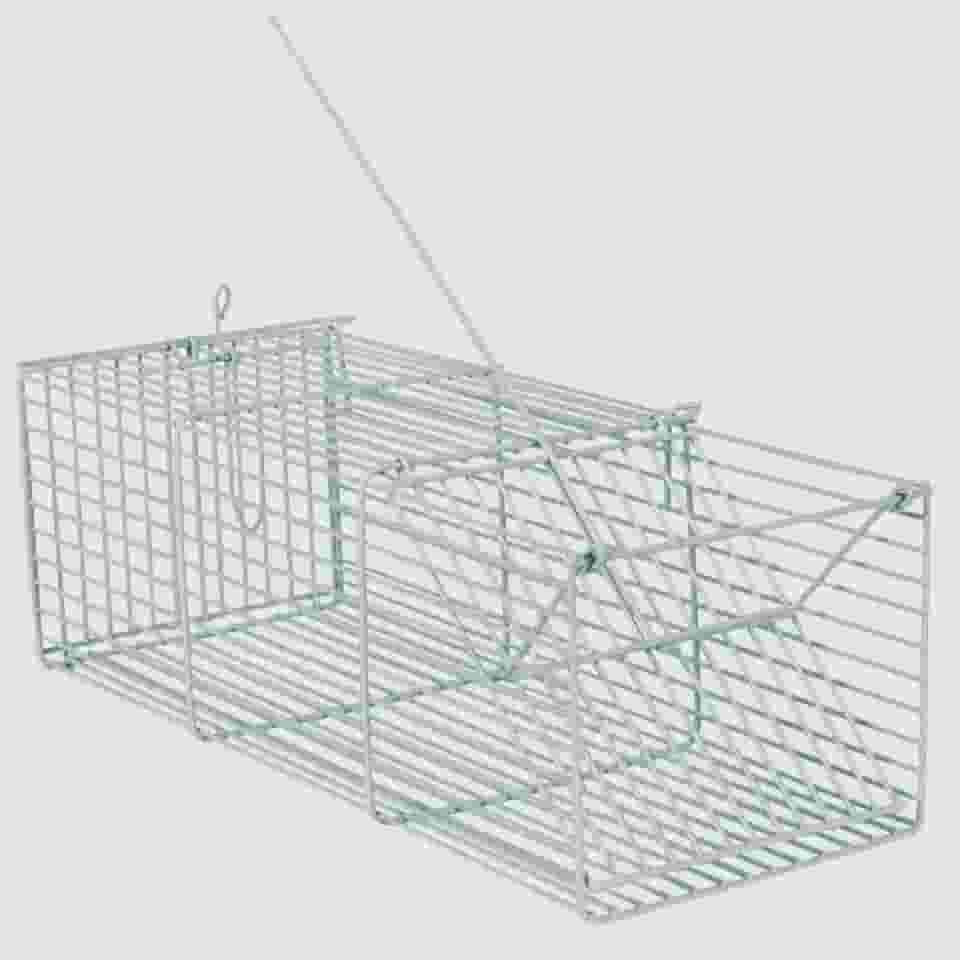 Ratoeira gaiola armadilha para ratos e camundongos roedores