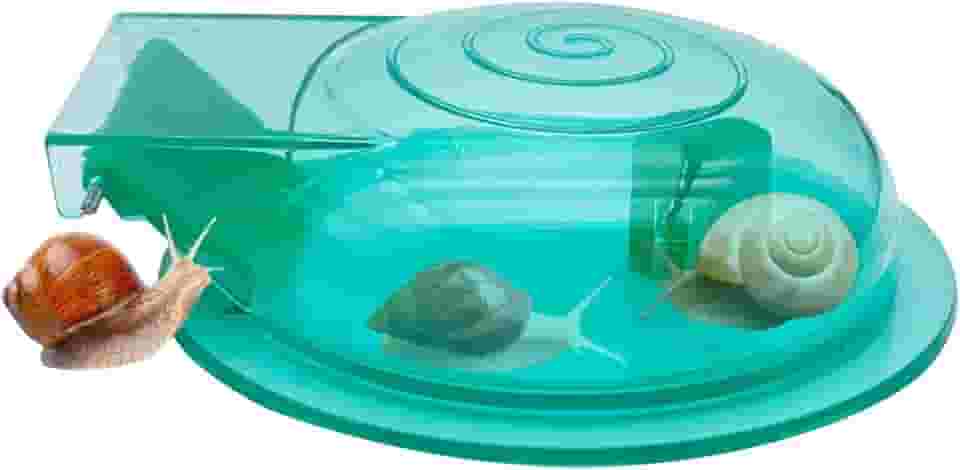 Apanhador de caracol para aquário | Caixa de captura de caracol para tanque de peixes | Acessórios de limpeza de tanque de peixes, caixa de captura de planaria de aquário para loja doméstica