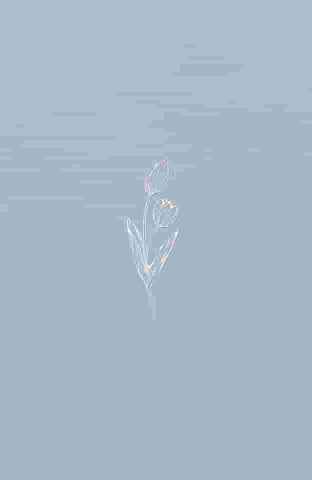 Bíblia NVI, Azul, Econômica, Tulipa