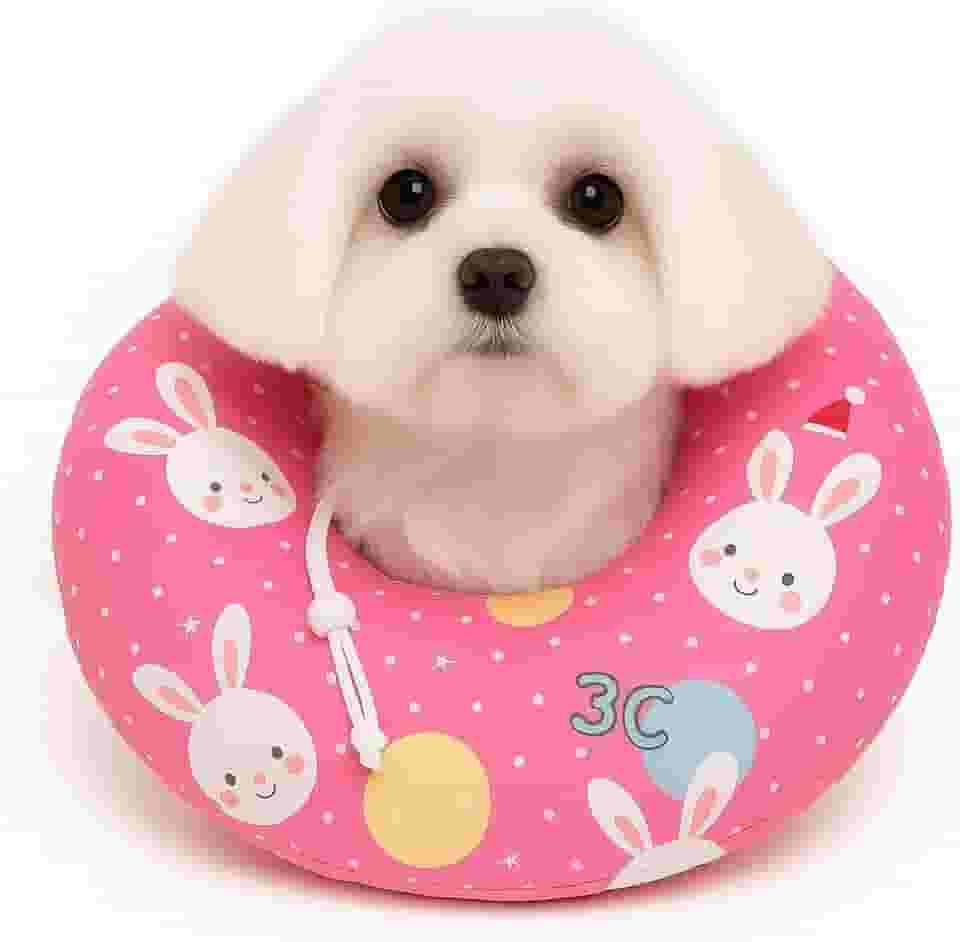 Cone Colar Elizabetano Ajustável Macio Anti Lambida Protetor Ferida Pescoço p/Gato e Cães Pequenos (Cinza)