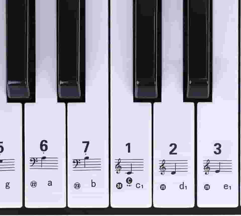 Adesivo Para Teclado Musical Com Notas Para Iniciantes