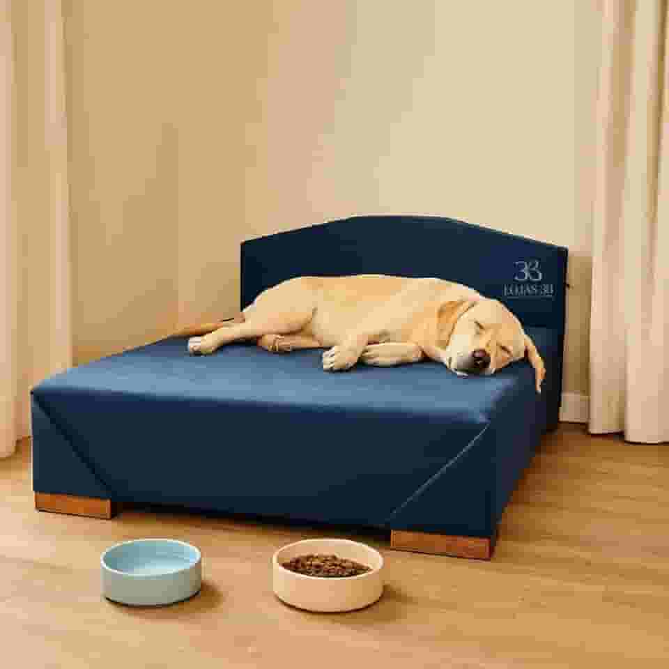 Cama Box Pet 100cm para Cachorros de Grande Porte em Suede com Cabeceira (Azul)