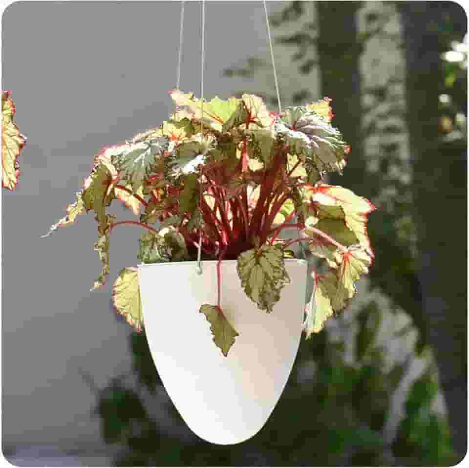 Cachepot Suspenso Egg Autoirrigável