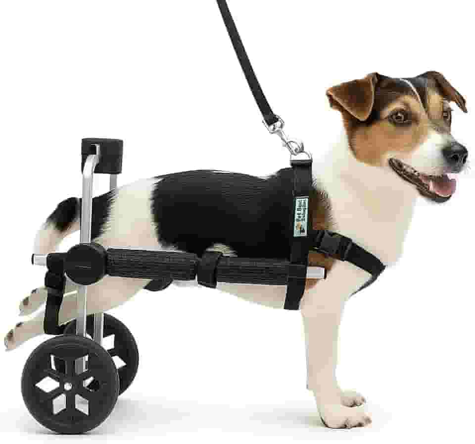 Cadeira de Rodas para Cachorro Tamanho P Pequeno Pet Best Soluções BasicLine