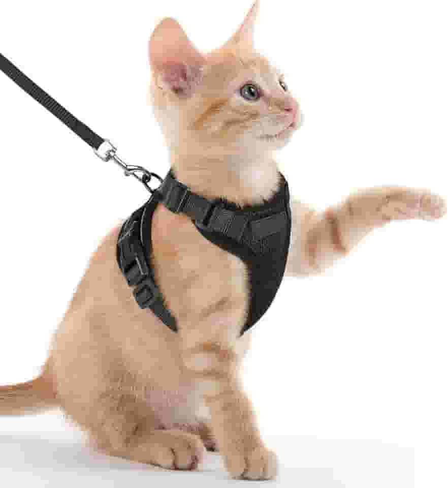 Peitoral e coleira para gatos para caminhar, à prova de fuga, seguro, ajustável, colete para caminhar, jaqueta macia e confortável com tiras refletivas para gatos, preto