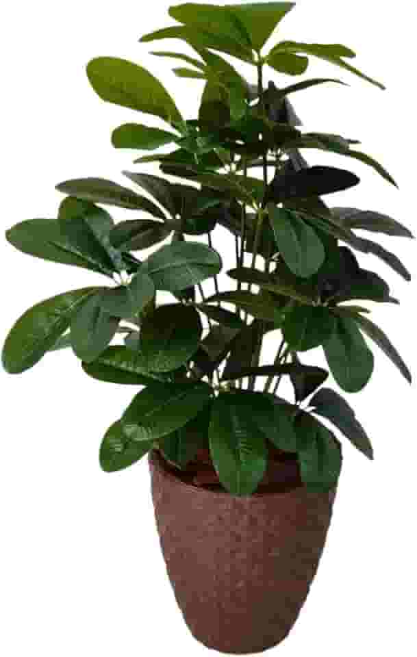 Planta Artificial Schefflera com Folhas Grandes Realista Com Vaso