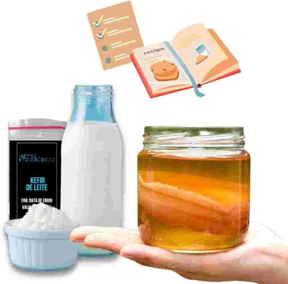 Kit Scoby Kombucha + Manual Ganhe Kefir de Leite + Livro de Receitas Tudo Kombucha