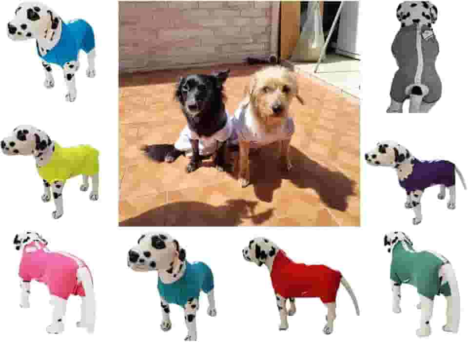 Roupa pós cirúrgica pet para machos e fêmeas tamanho 04