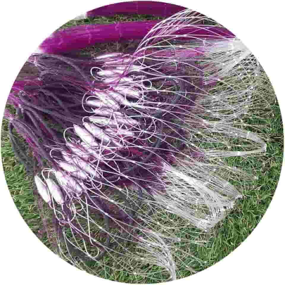 Tarrafa para pescar tilapia, pacu, corvina, mandi, piapara colors