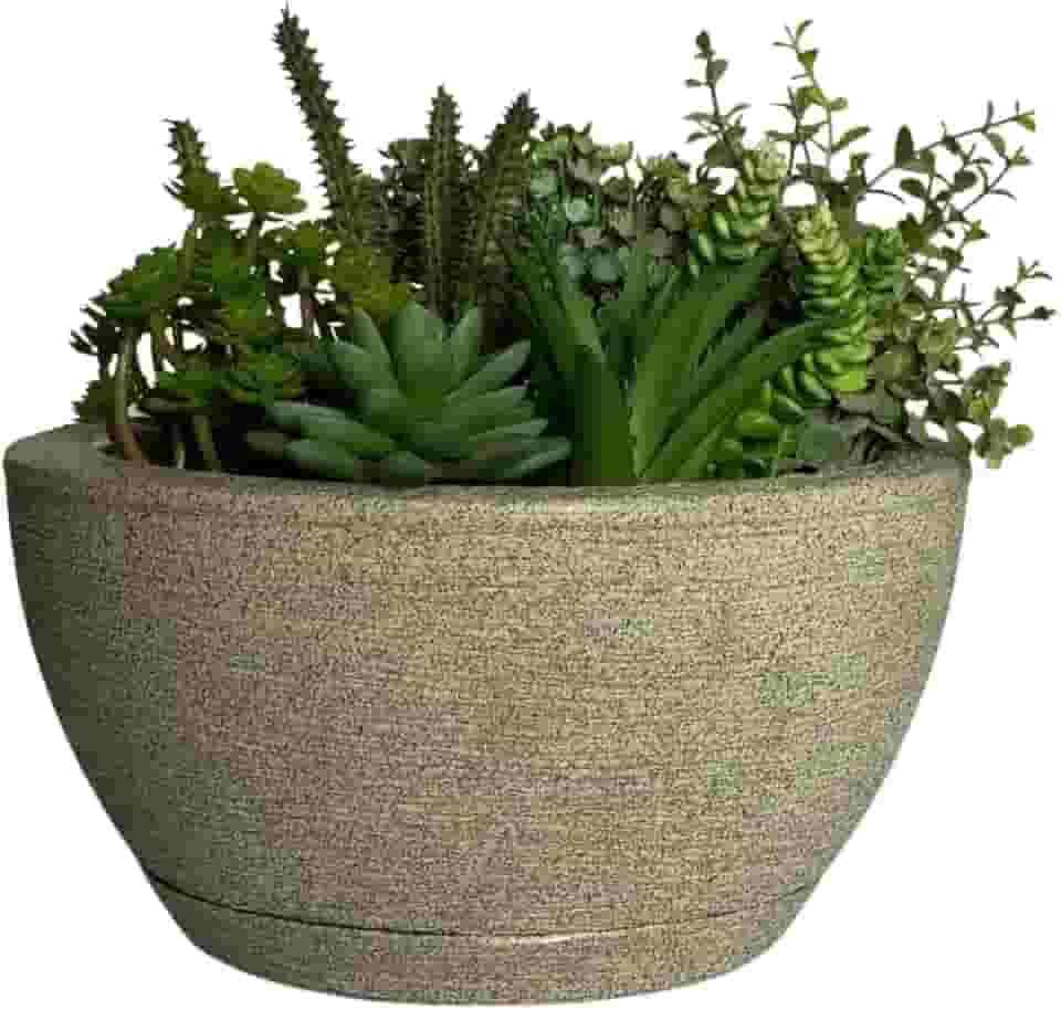 Vaso Bacia Cuia P/plantas Decorativa Luxo Terrário Jardim C/prato (Cinza)
