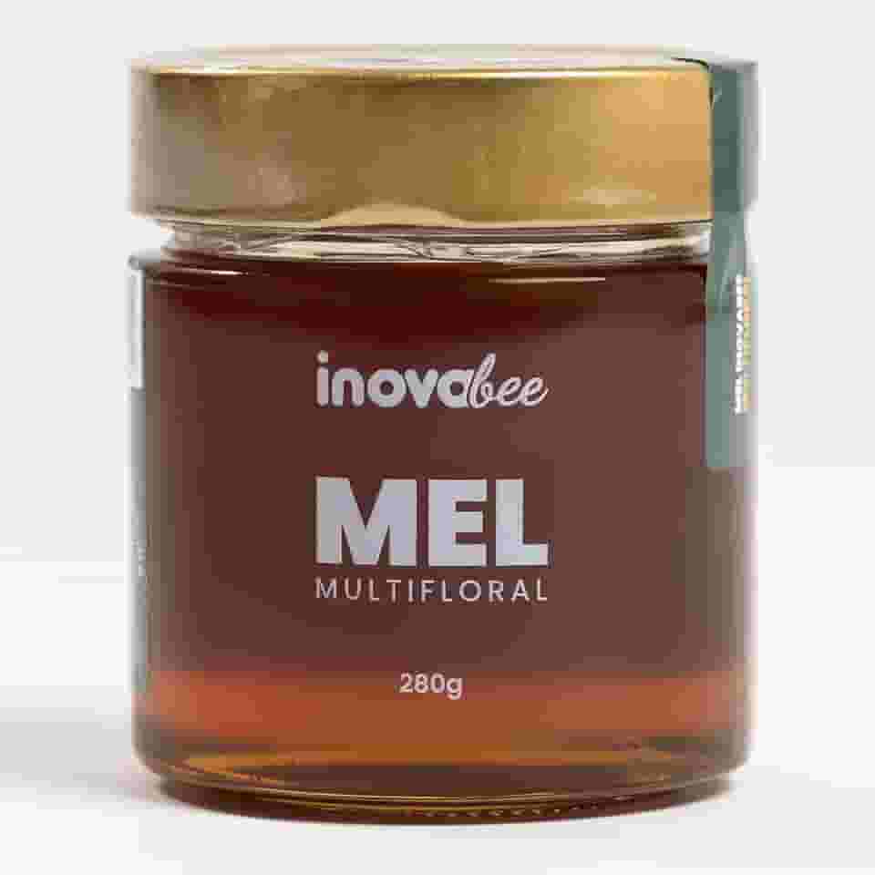 Mel Puro 100% Natural 280g | Vidro Gourmet | Mel Multifloral Artesanal | Produção Sustentável | Apoio ao Pequeno Apicultor