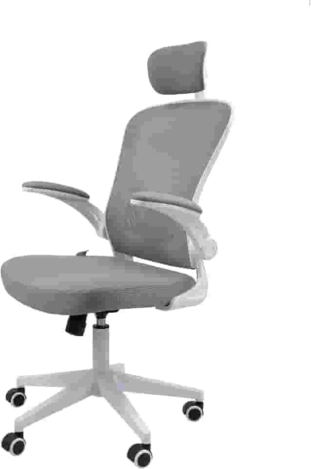 Cadeira Ergonômica Eurynom, Giratória, para Escritório e Home Office, com Encosto Reclinável, Braços Pivotantes, Apoio de Cabeça, Apoio Lombar (Cinza)