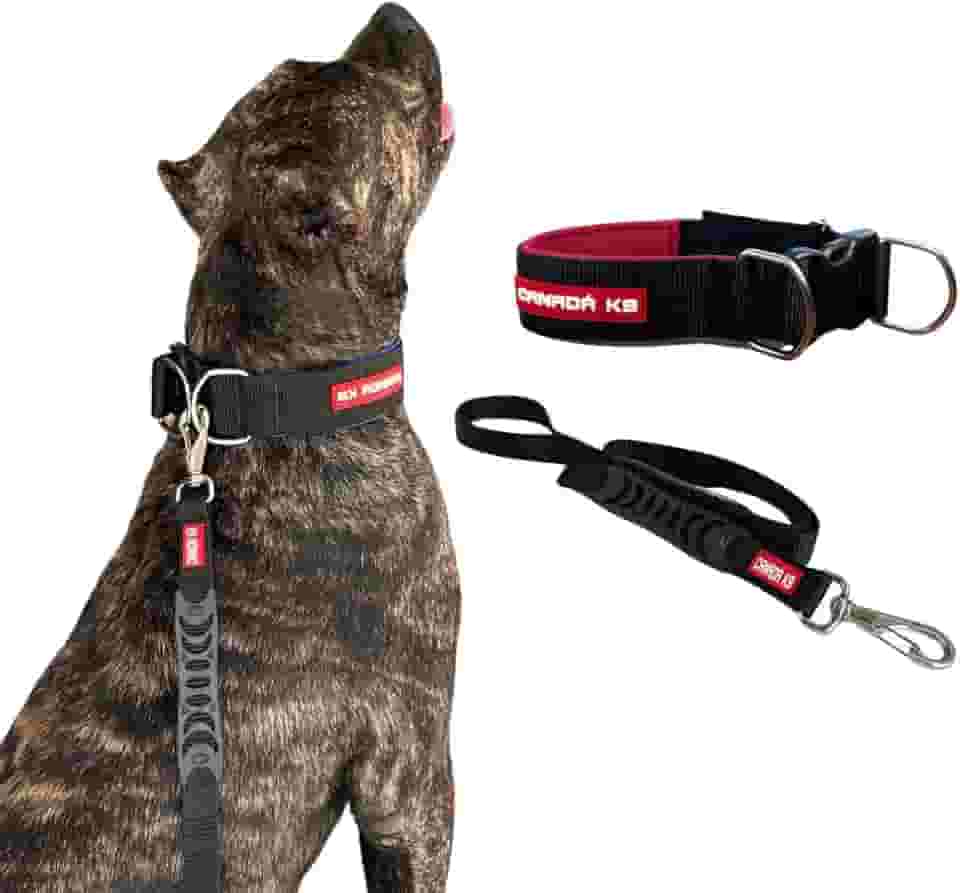 Coleira com Fecho com Guia para Cães Fortes - Canadá K9 (preto)