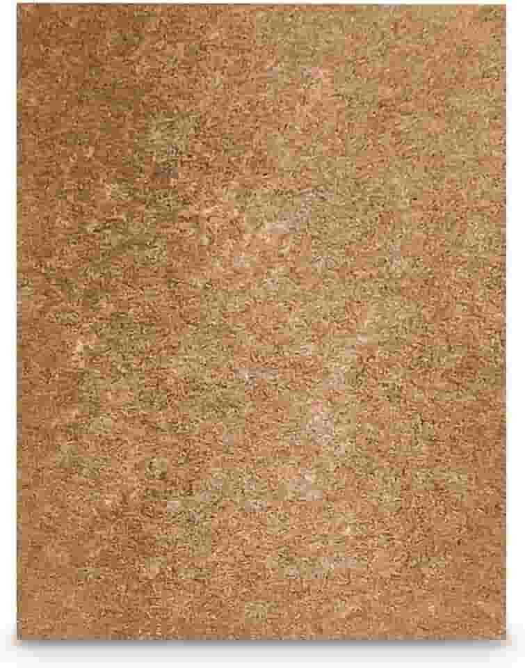 Arranhador Carpete Autoadesivo para Gato Protetor Sofá Cama Box Lillos Pet (Bege)