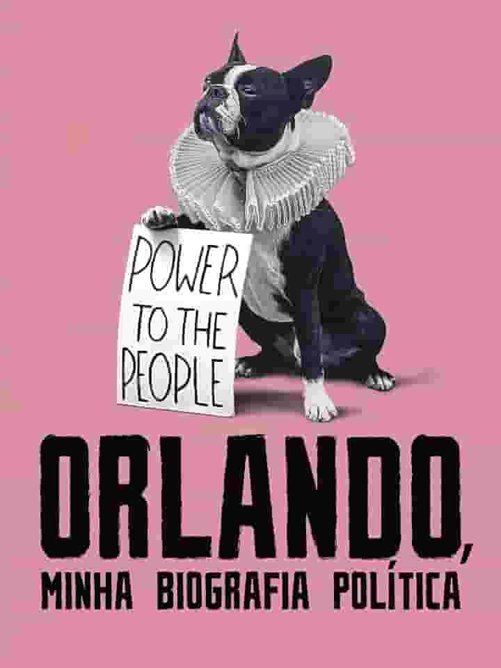Orlando, Minha Biografia Política