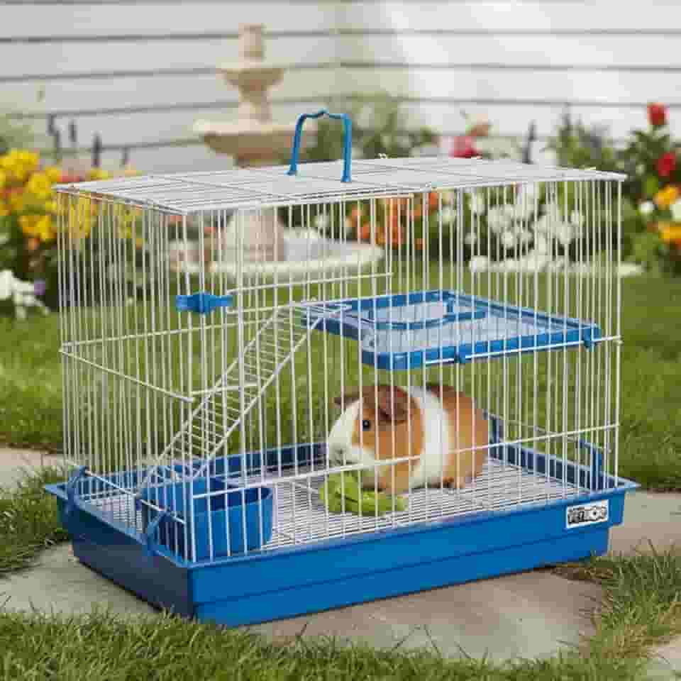 Gaiola para Roedores com Escada, Grade Aramada, Bandeja Higiênica Removível, Ideal para Coelho, Porquinho da Índia e Chinchila, Azul
