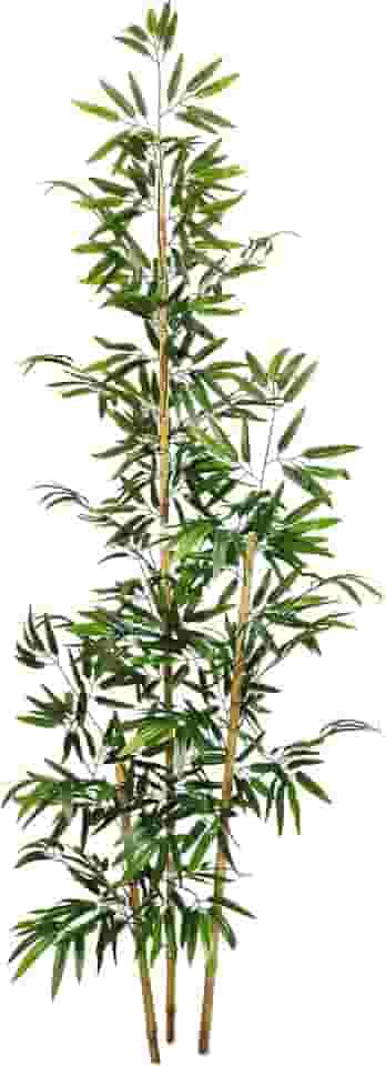 Planta Bambu Artificial 2 Metros Sem Vaso Decoração para Sala