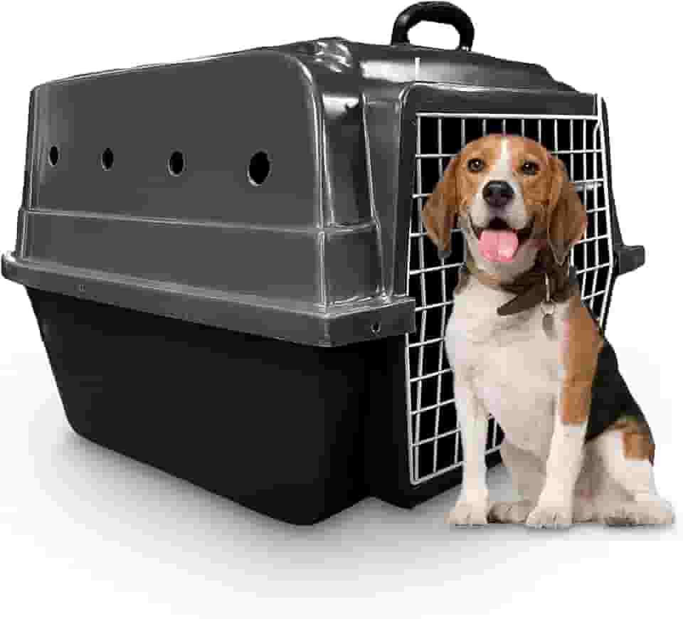 Caixa de Transporte Cachorro Cães Porte Médio Rafapet (Cinza)