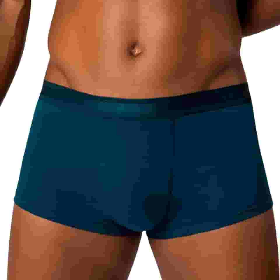 Cueca Sungão Lupo Algodão Cotton Respirável Masculina