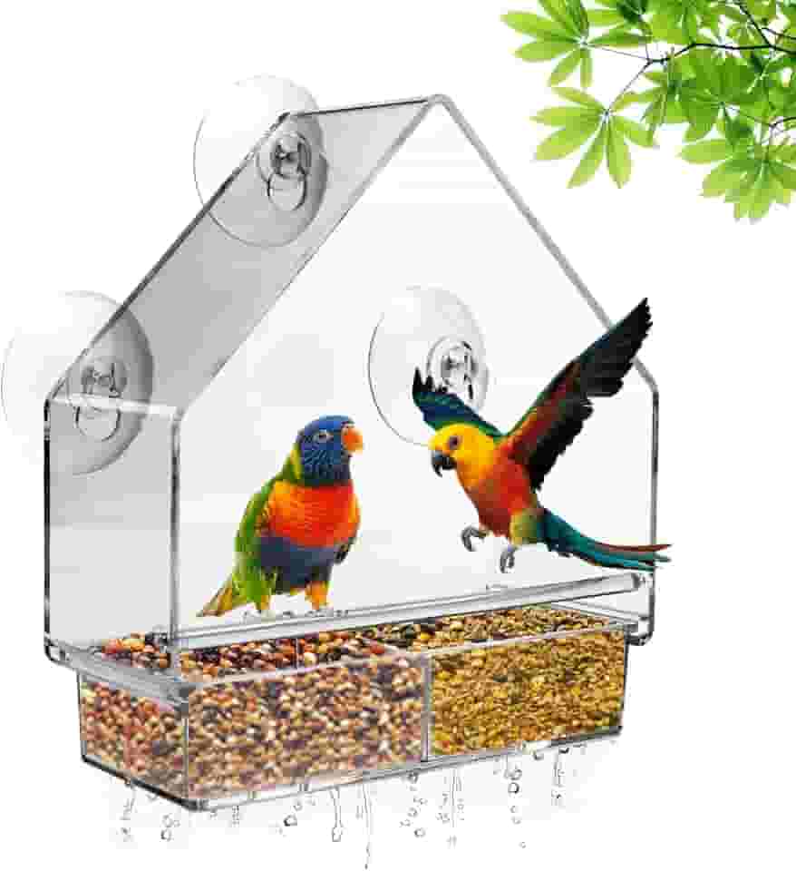 Alimentador de pássaros para janela de casa para janela de plástico transparente alimentador de pássaros com ventosas fortes alimentador de pássaros transparente janela casa de pássaro para