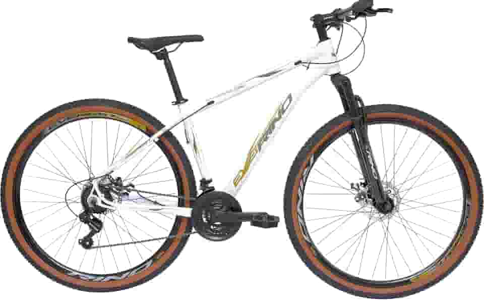 Bicicleta Aro 29 Rino Everest XR 21v SH Fx Marrom