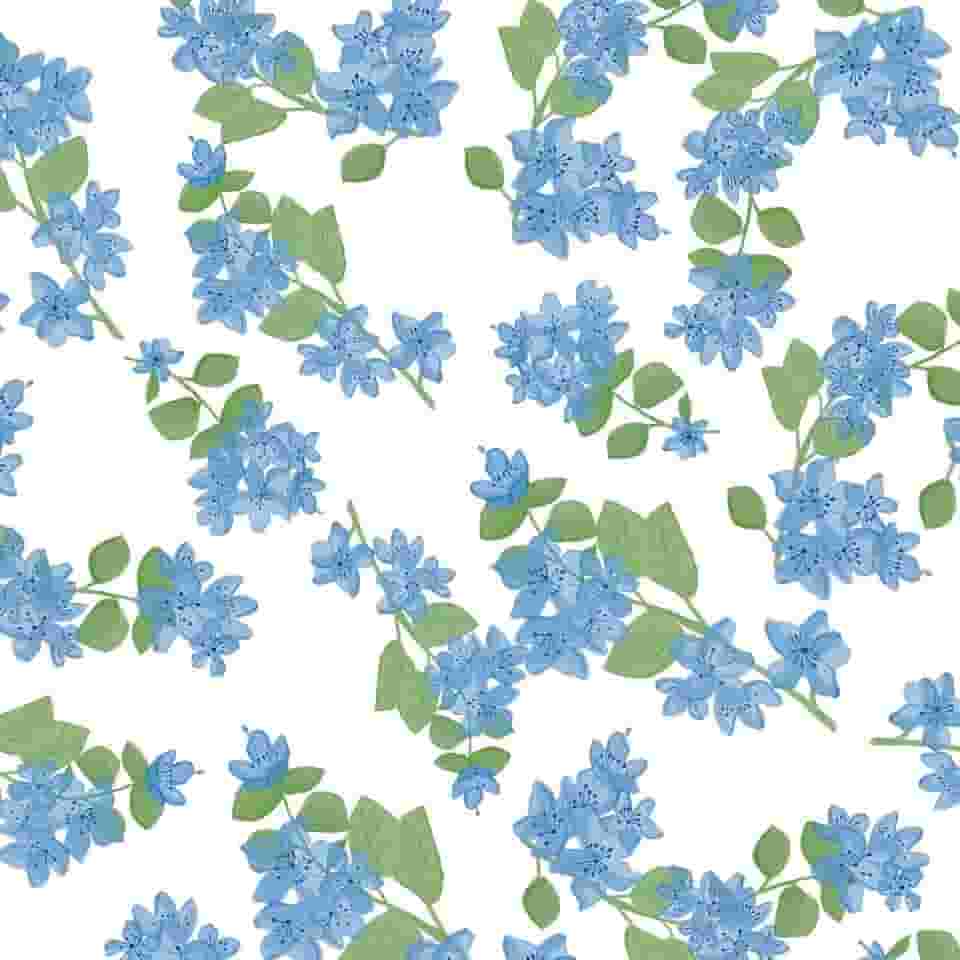 Papel de Parede Toque de Flor Azul I Crie Paredes I Impresso em alta definição (P)