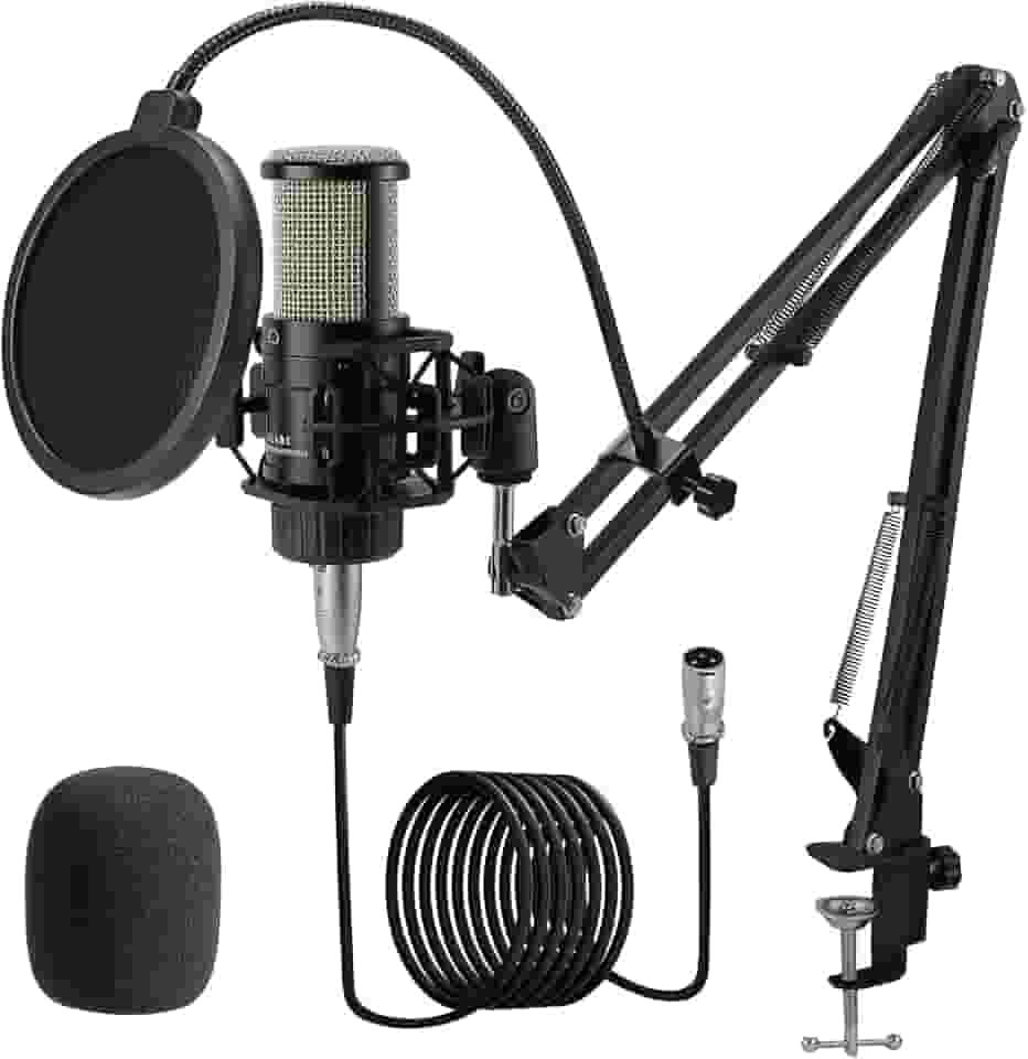 ALABS Microfone condensador XLR, kit de microfone de gravação cardioide profissional com diafragma de 25 mm para transmissão, podcast, canto, vocal, microfone de estúdio com braço boom, filtro pop