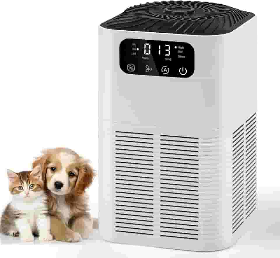 Purificador de Ar para Quarto, Purificador de Ar para e Animais de Estimação, Purificador de Ar Compacto, Ionizador de Ar Negativo, Purificador de Ar para Fumo