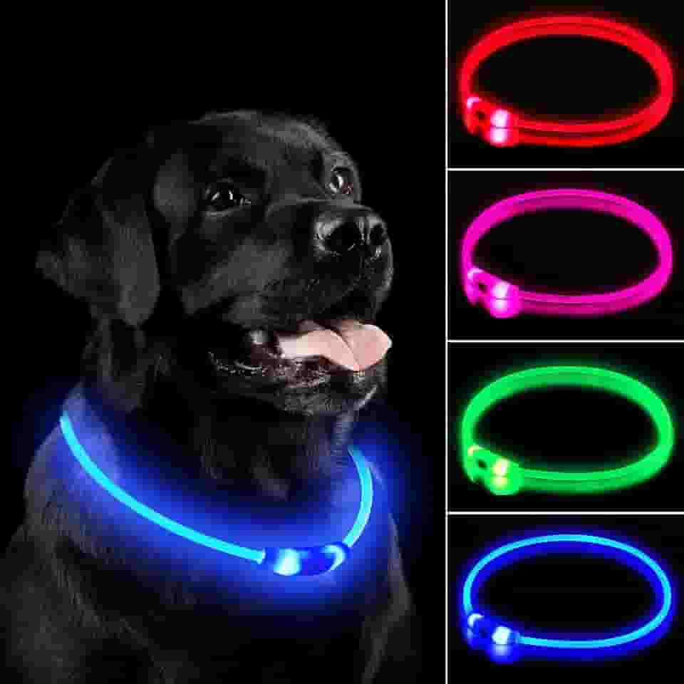 Coleira de cachorro de LED, coleira recarregável para cães, luzes IP67 à prova d'água para caminhadas noturnas, ajustável, reutilizável para cães pequenos, médios e grandes (azul)